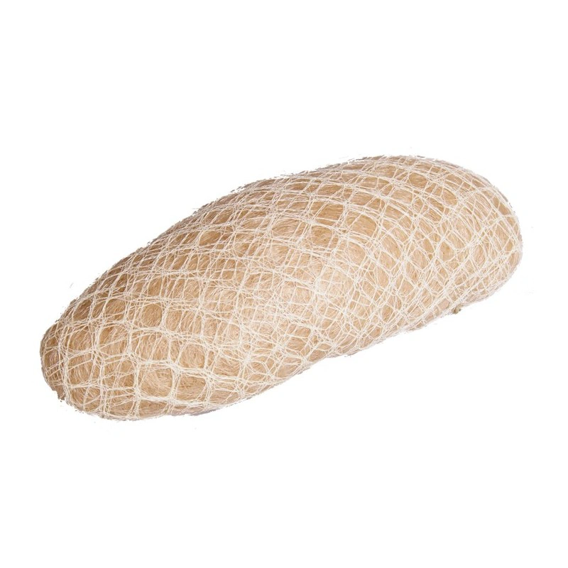 Fő kép